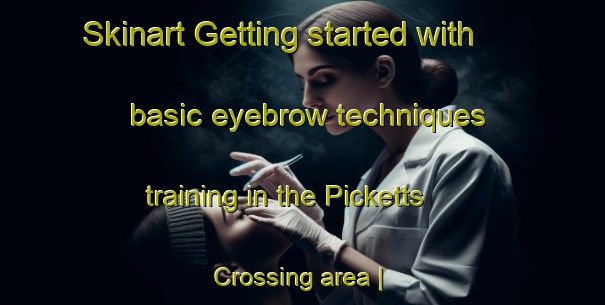 Skinart Getting started with basic eyebrow techniques training in the Picketts Crossing area | EyebrowTraining | EyebrowClasses | SkinartTraining-United States